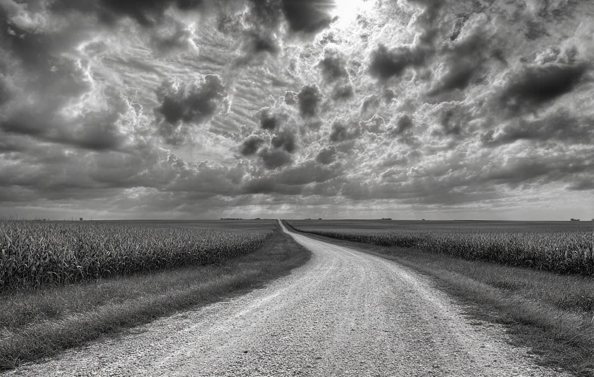 曇天の下、地平線へと続く一本道が広がるモノクロ風景。