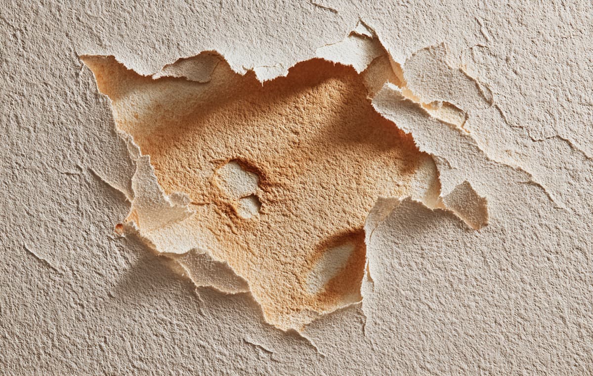 壁紙が剥がれた画像